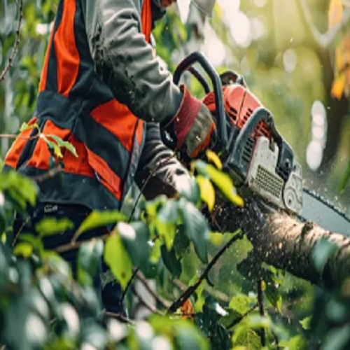 Norco Tree Service